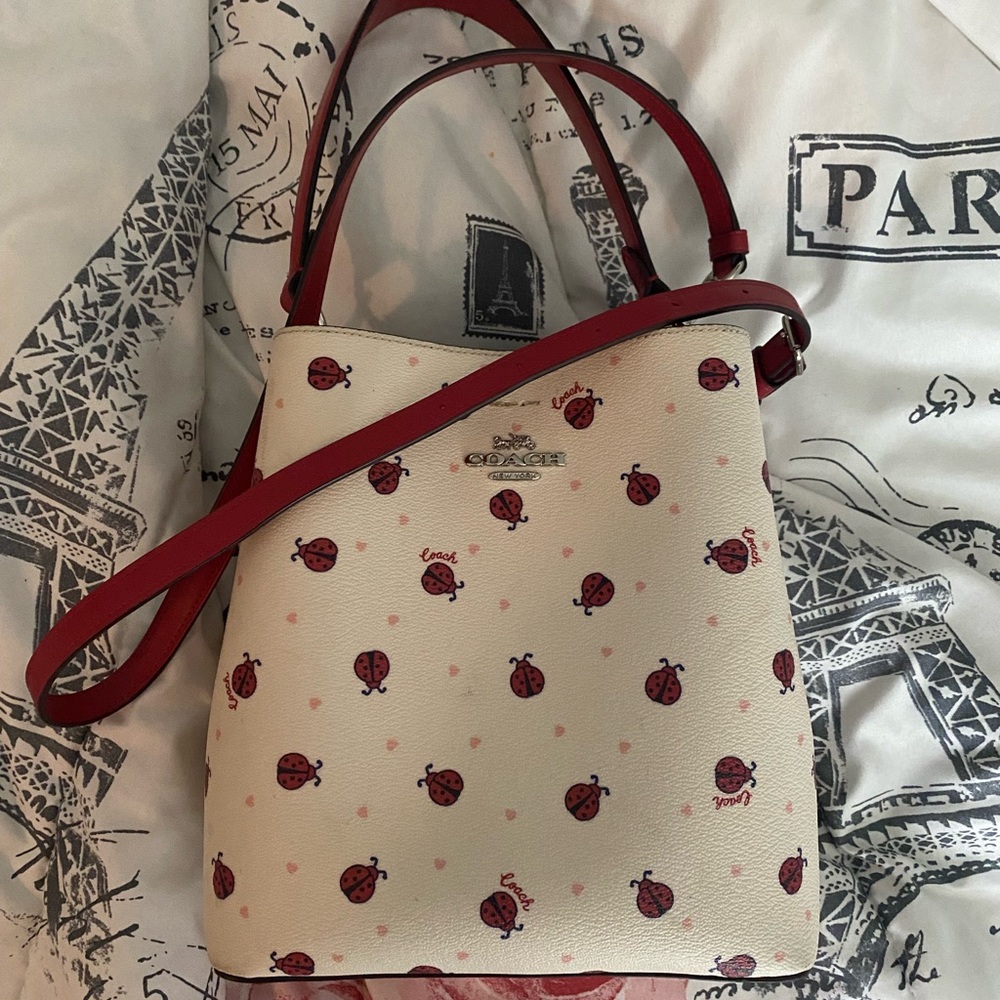 Coach ladybug buckets purse and matching wallet